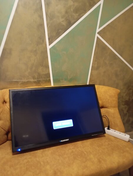Vand Blaupunkt si Sony Bravia