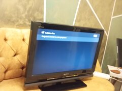 Vand Blaupunkt si Sony Bravia